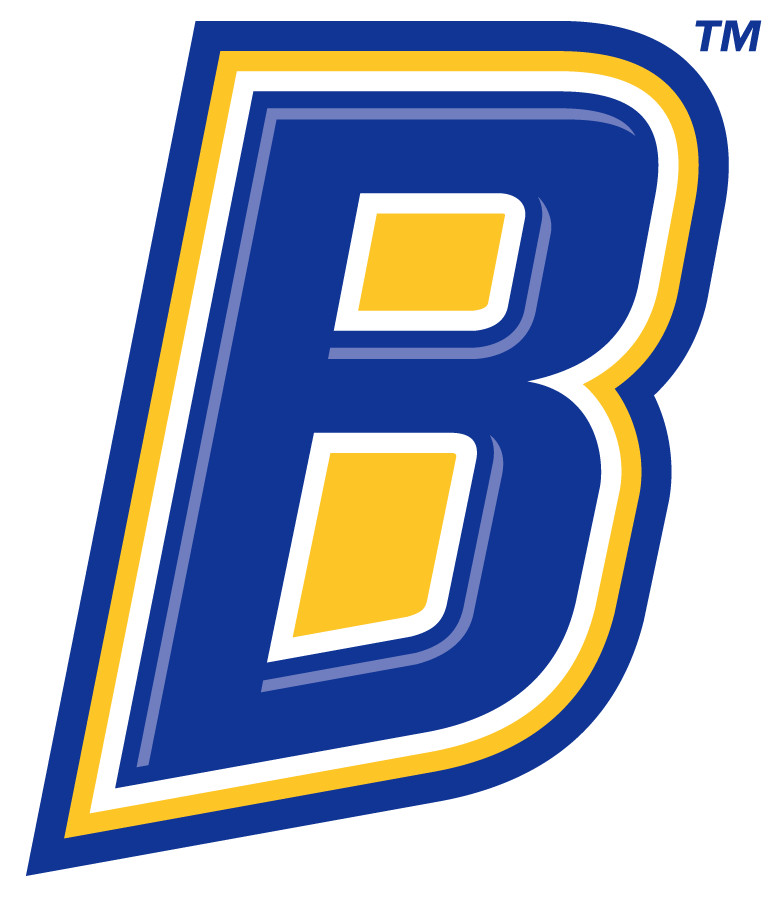 CSU Bakersfield Roadrunners 2019-Pres Secondary Logo iron on transfers for clothing